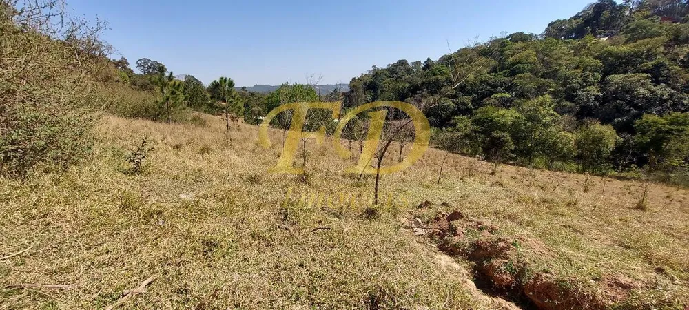 Terreno, 1078 m² - Foto 7