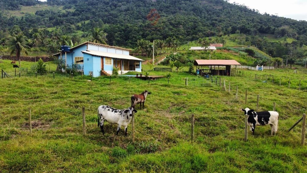 Sítio, 3 quartos, 8300 m² - Foto 3