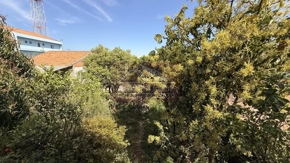 Casa, 3 quartos, 195 m² - Foto 6