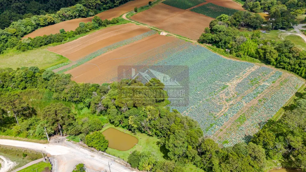 Terreno, 2 hectares - Foto 9