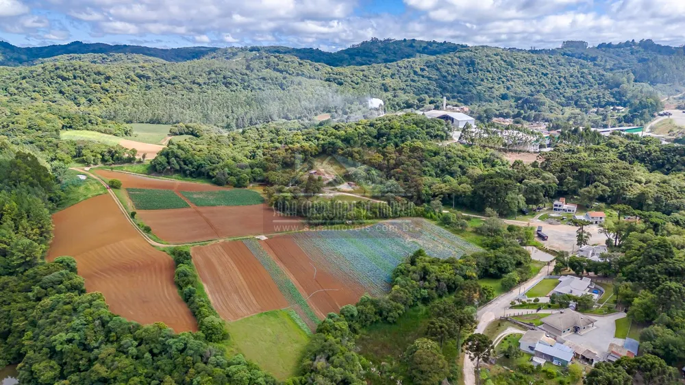 Terreno, 2 hectares - Foto 6