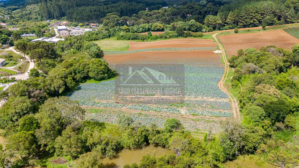 Terreno, 2 hectares - Foto 11
