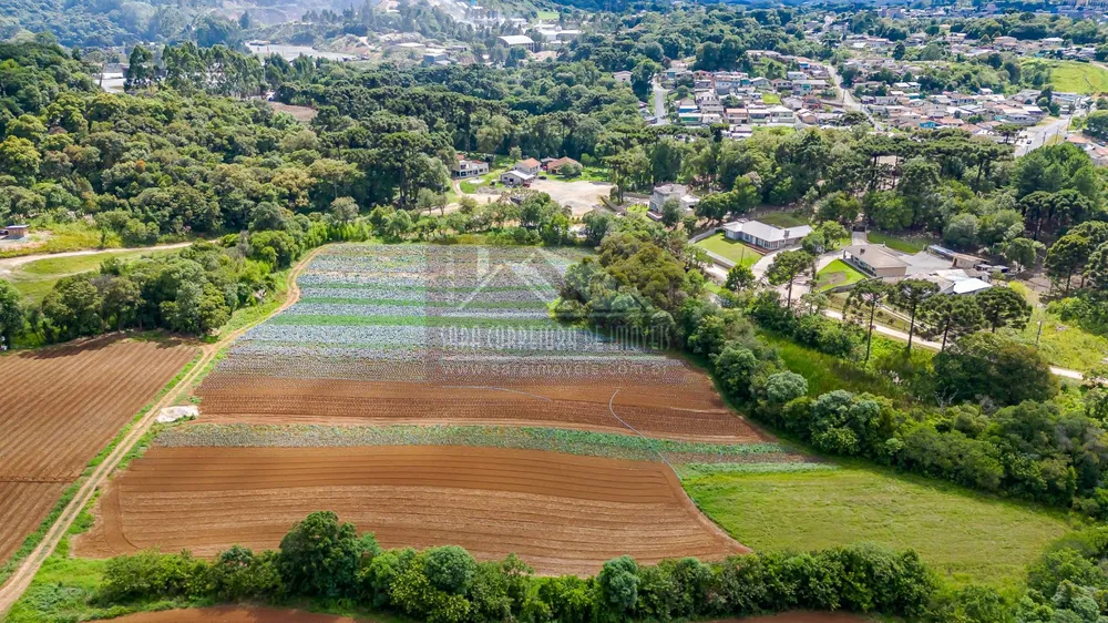Terreno, 2 hectares - Foto 8