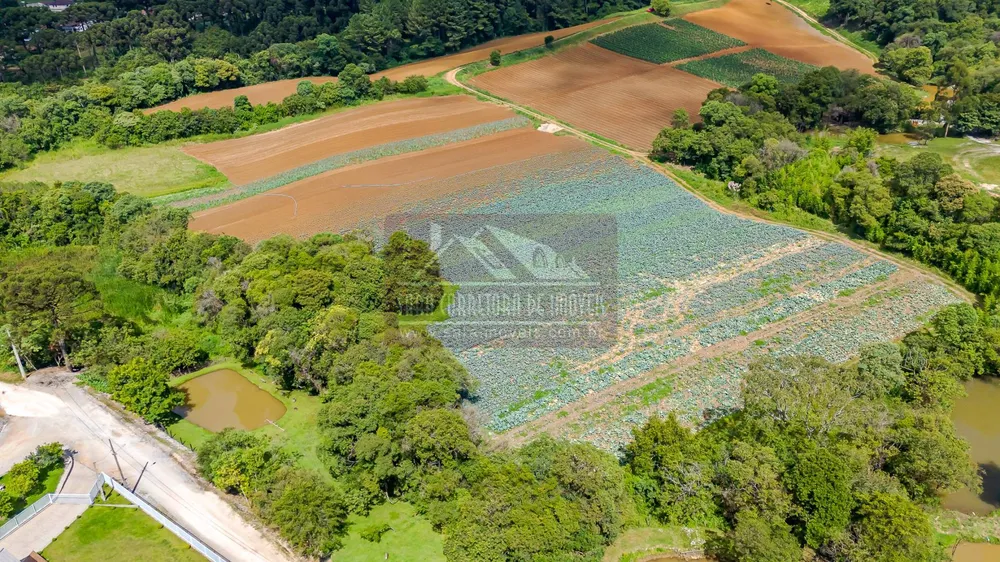 Terreno, 2 hectares - Foto 10