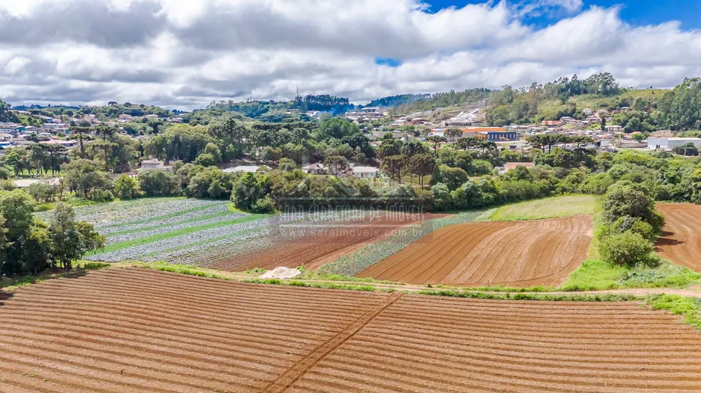 Terreno, 2 hectares - Foto 12