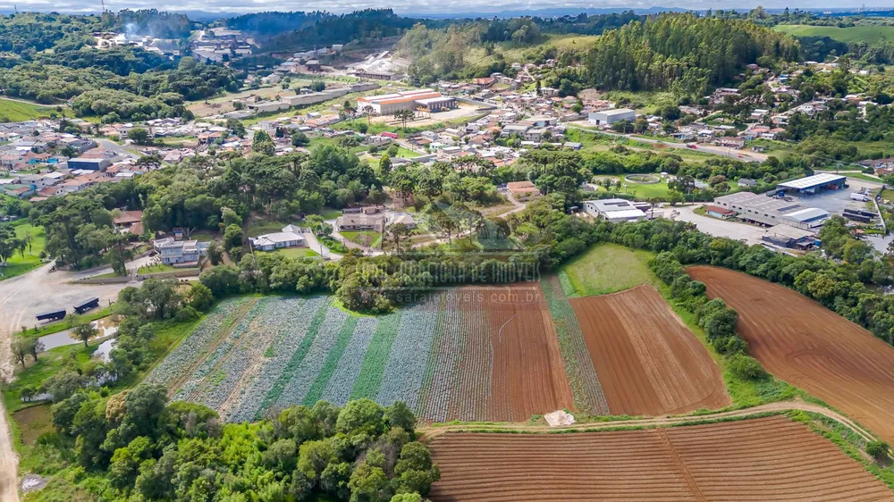 Terreno, 2 hectares - Foto 4