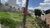 Terreno, 500 m² - Foto 2