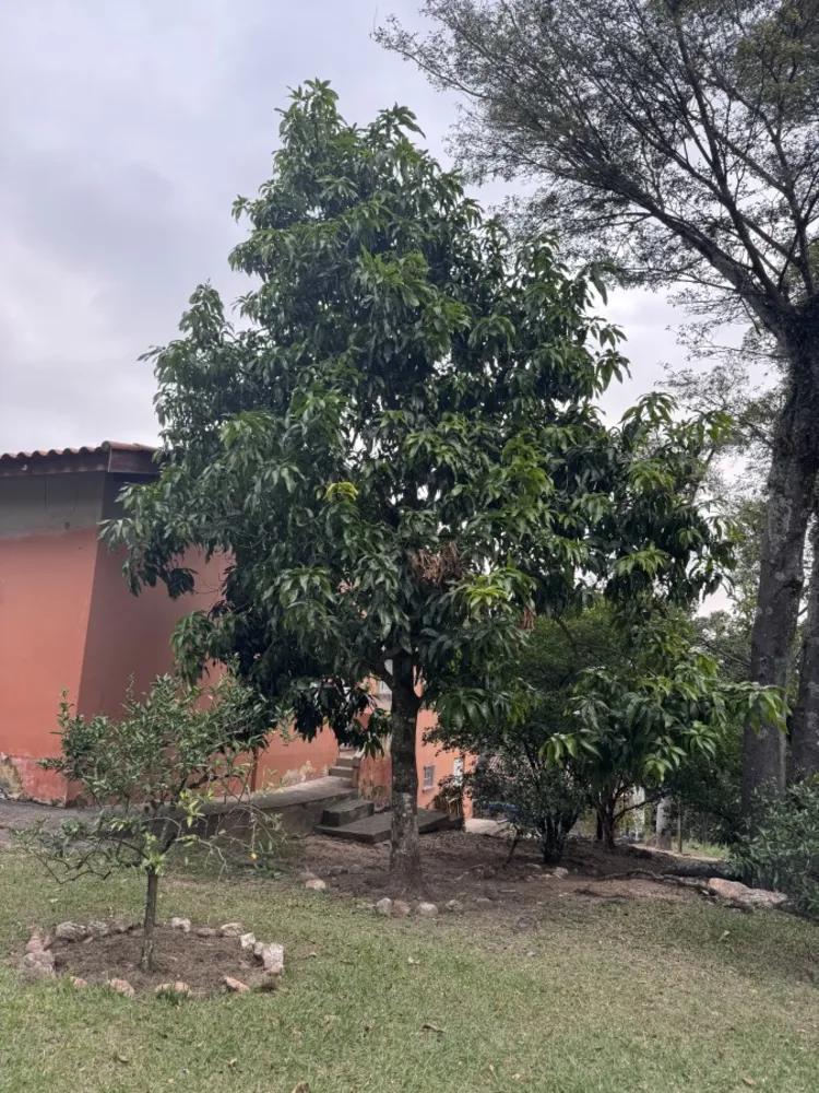 Chácara, 4 quartos, 8547 m² - Foto 3
