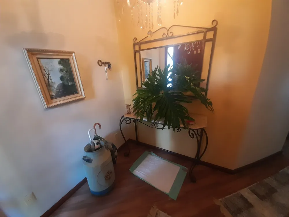 Casa, 4 quartos - Foto 27