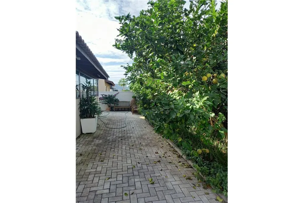 Casa, 3 quartos - Foto 12