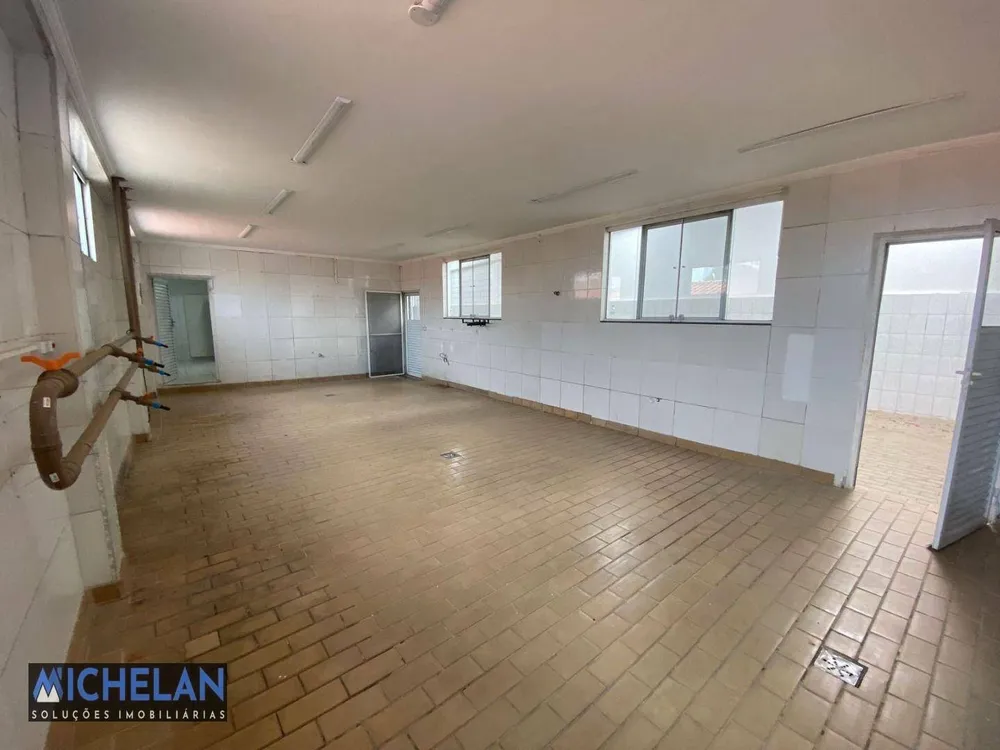 Depósito-Galpão, 254 m² - Foto 3