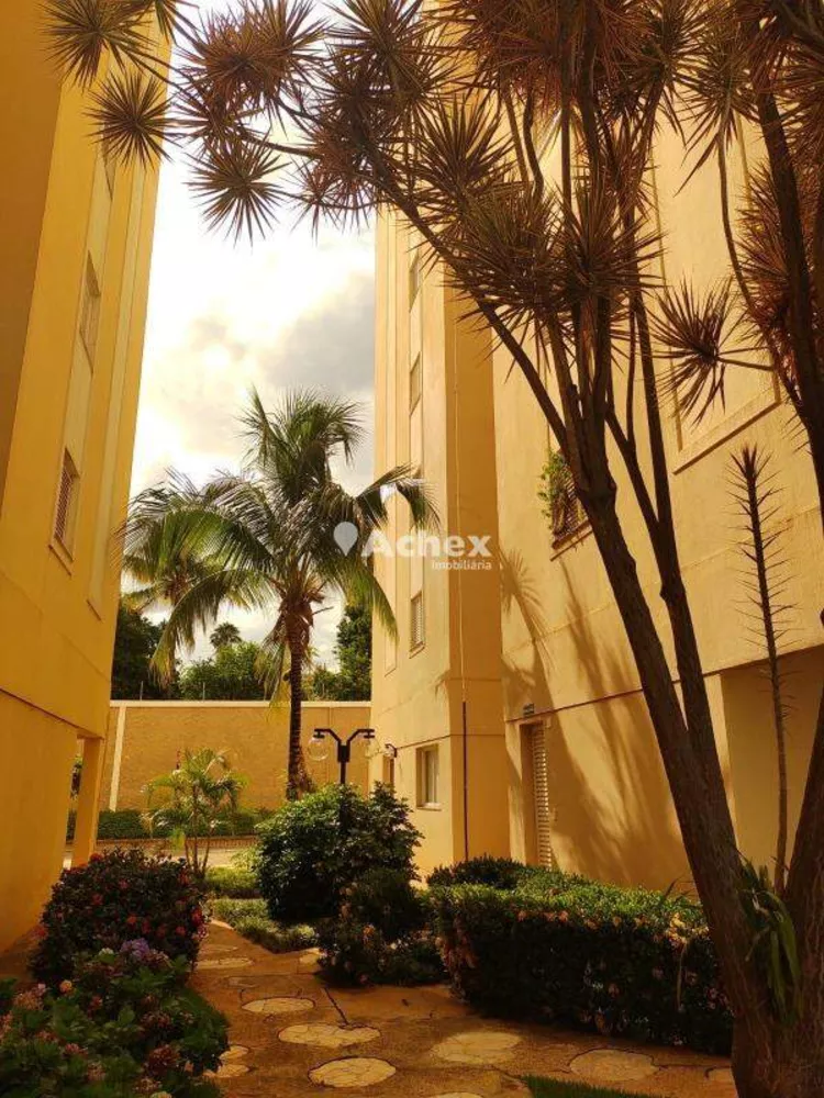 Apartamento, 3 quartos, 87 m² - Foto 1