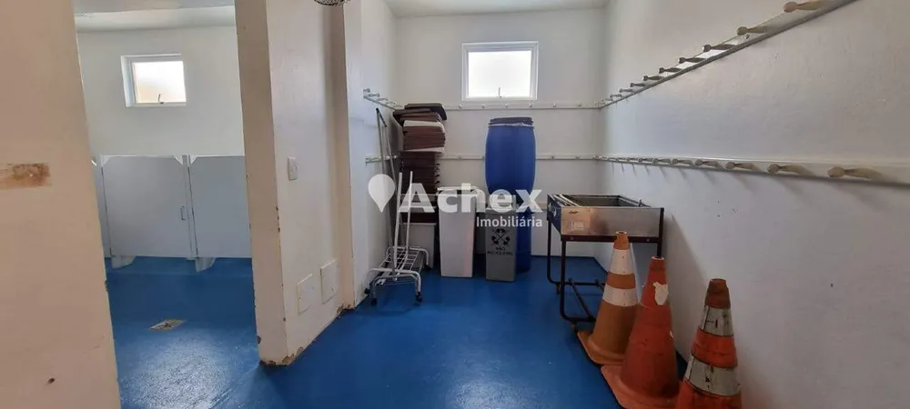 Casa, 3 quartos, 300 m² - Foto 6