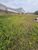 Terreno, 1000 m² - Foto 2