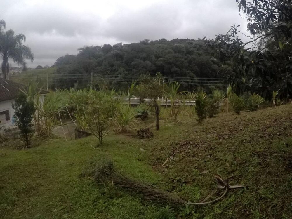 Terreno, 4 hectares - Foto 1