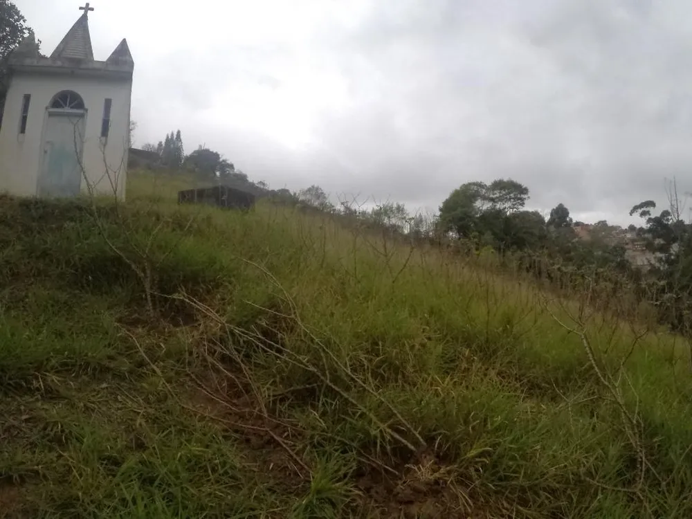 Terreno, 4 hectares - Foto 11