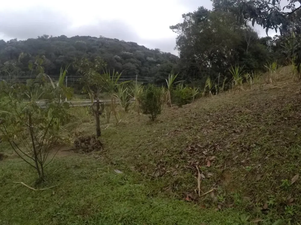 Terreno, 4 hectares - Foto 9