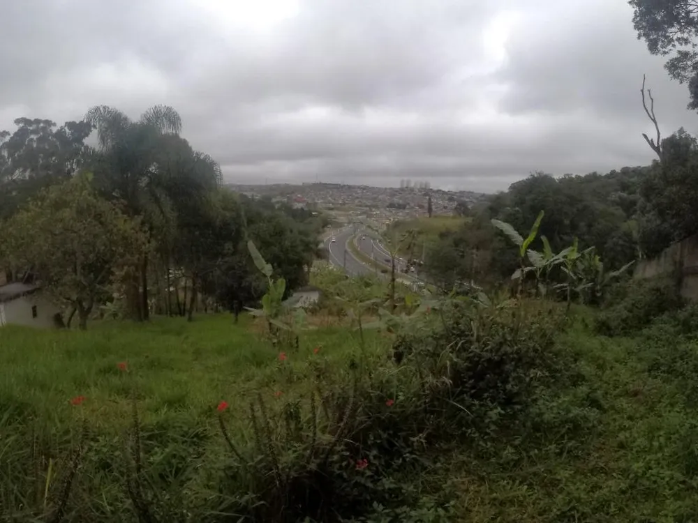 Terreno, 4 hectares - Foto 14