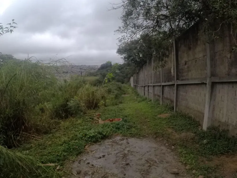 Terreno, 4 hectares - Foto 19
