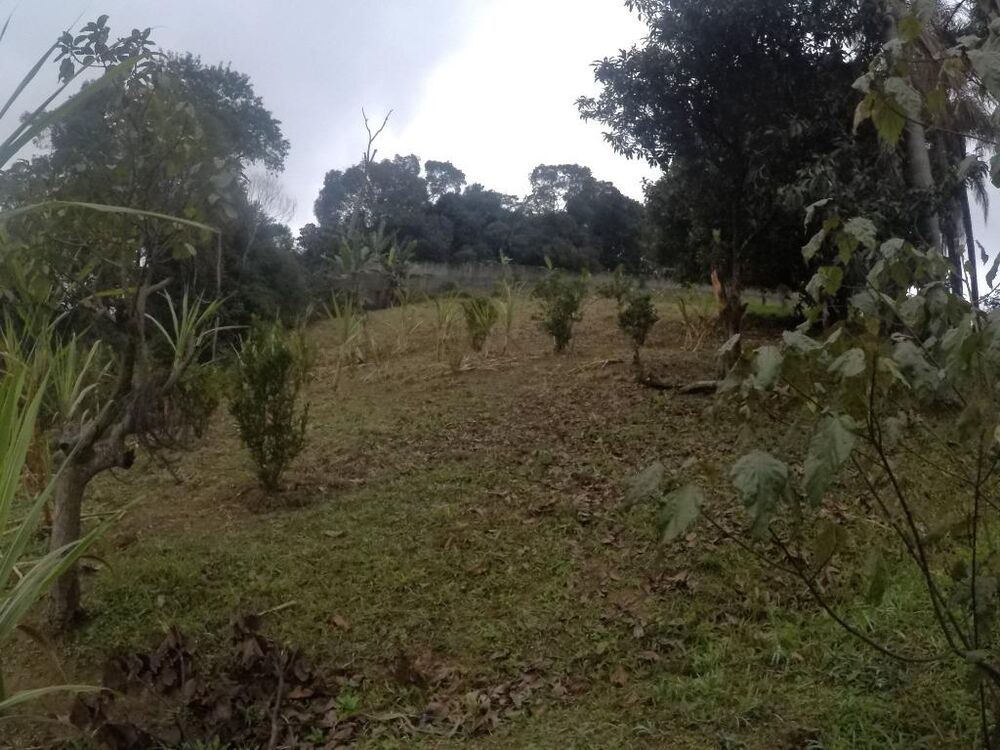 Terreno, 4 hectares - Foto 3