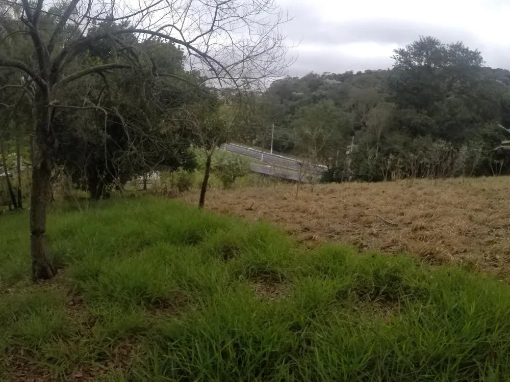 Terreno, 4 hectares - Foto 13