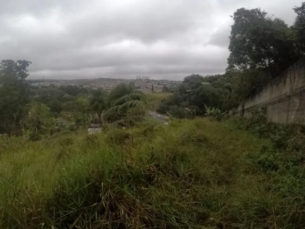Terreno, 4 hectares - Foto 16