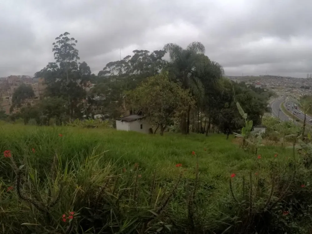Terreno, 4 hectares - Foto 15
