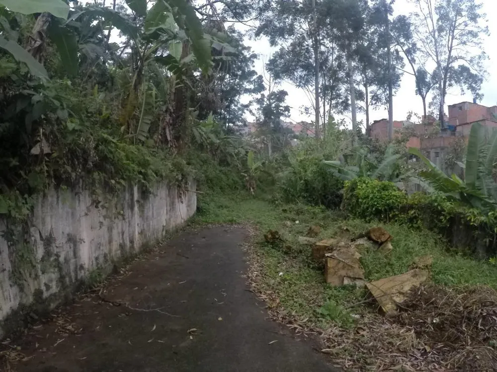 Terreno, 4 hectares - Foto 6