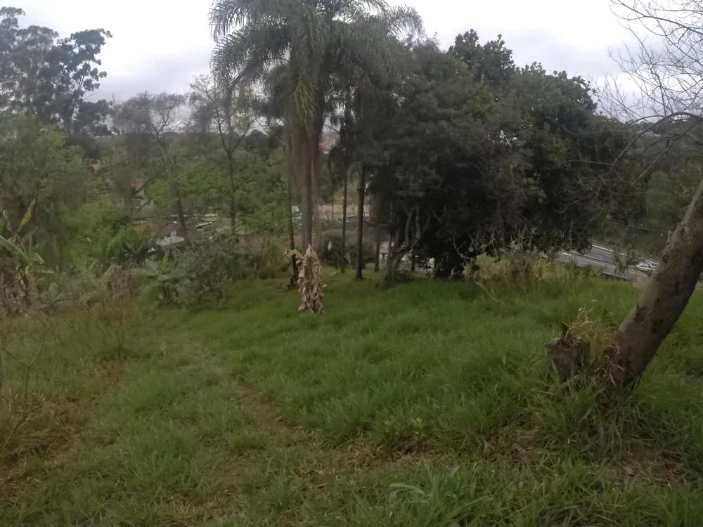 Terreno, 4 hectares - Foto 12