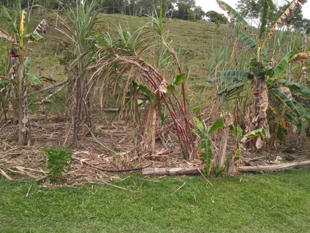 Fazenda à venda com 1 quarto, 120m² - Foto 2