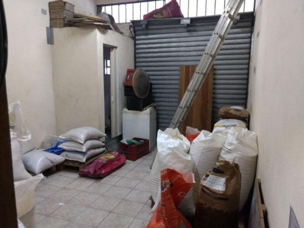 Casa, 5 quartos, 254 m² - Foto 3