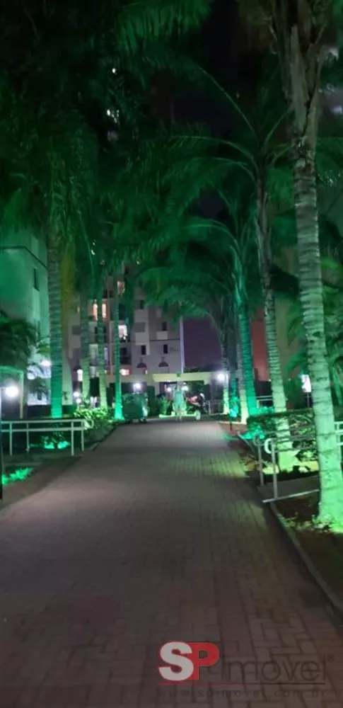 Apartamento, 3 quartos, 65 m² - Foto 2