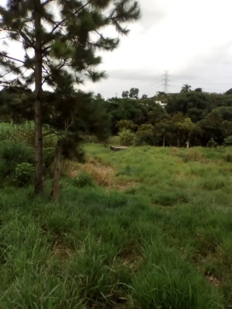Terreno, 1 hectares - Foto 1