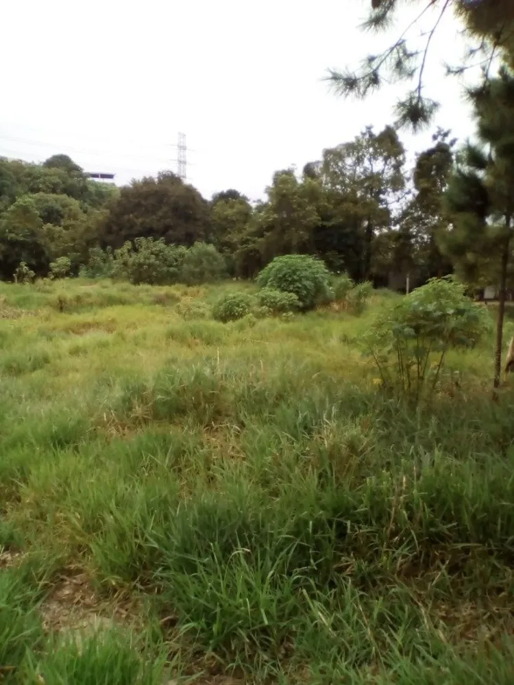 Terreno, 1 hectares - Foto 2