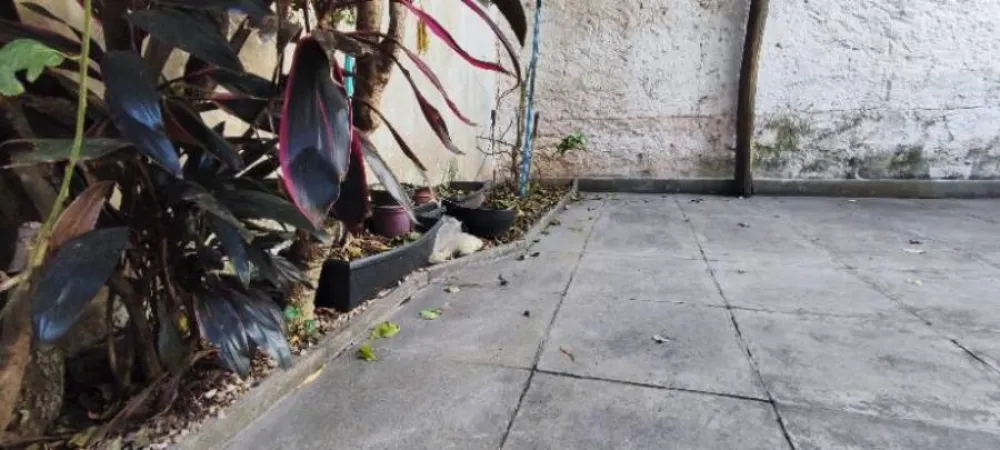 Casa, 3 quartos, 200 m² - Foto 2