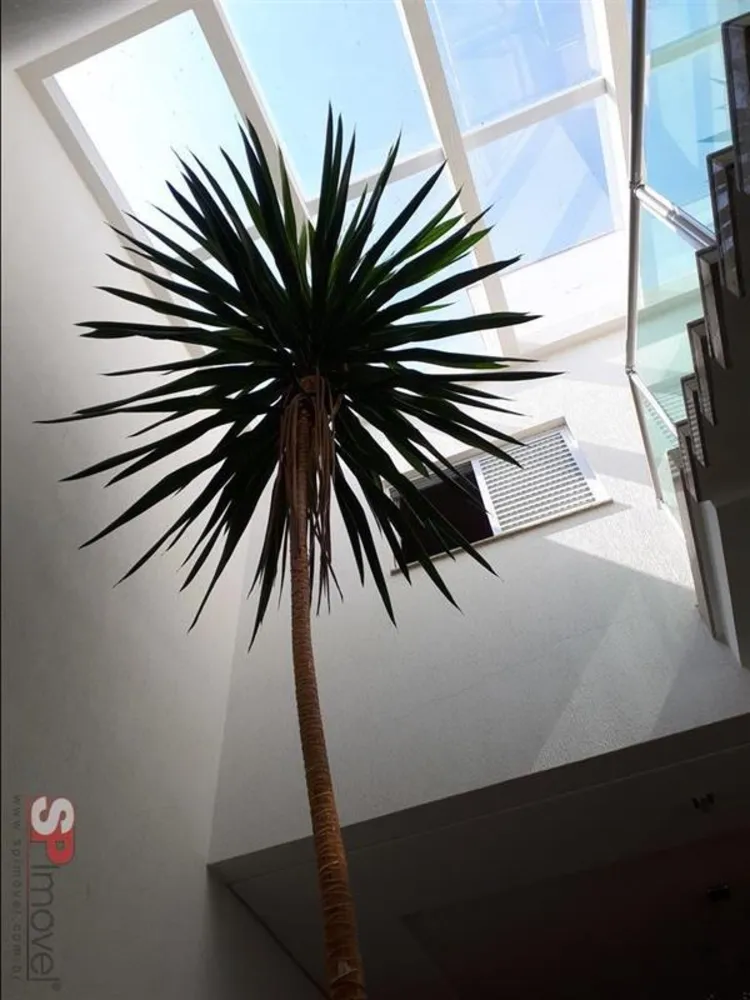 Casa, 3 quartos, 175 m² - Foto 4