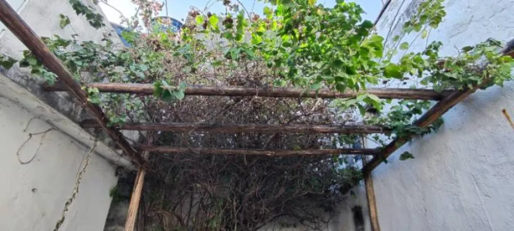 Casa, 3 quartos, 200 m² - Foto 11