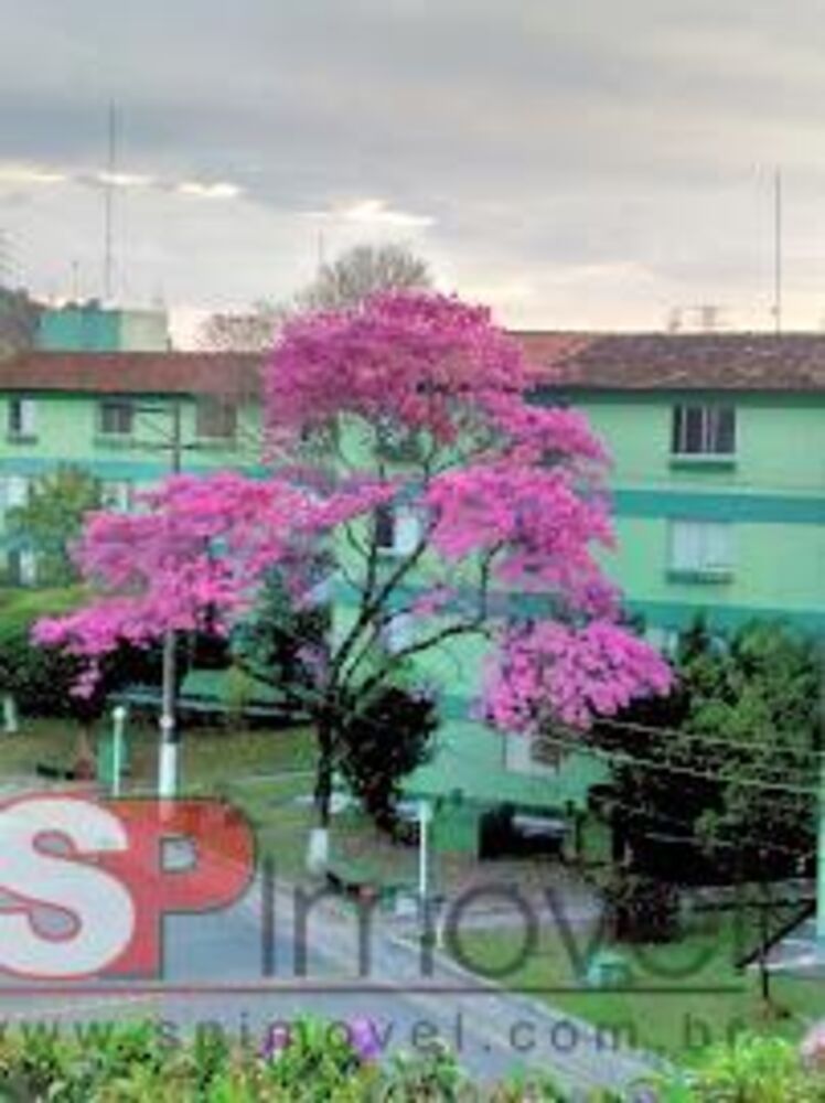 Apartamento, 2 quartos, 48 m² - Foto 2