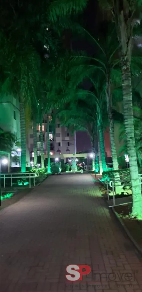 Apartamento, 3 quartos, 65 m² - Foto 8