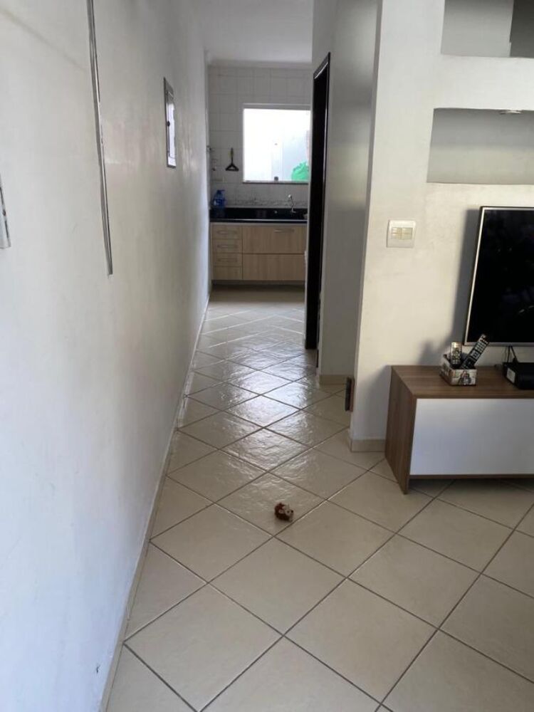 Casa de Condomínio, 2 quartos - Foto 3