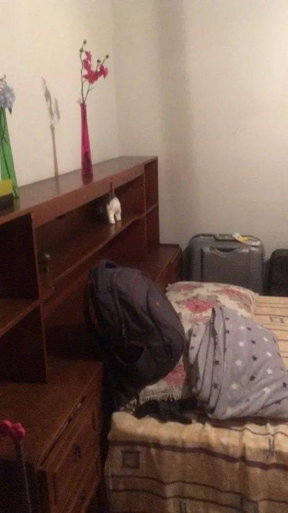 Sobrado, 5 quartos, 250 m² - Foto 4