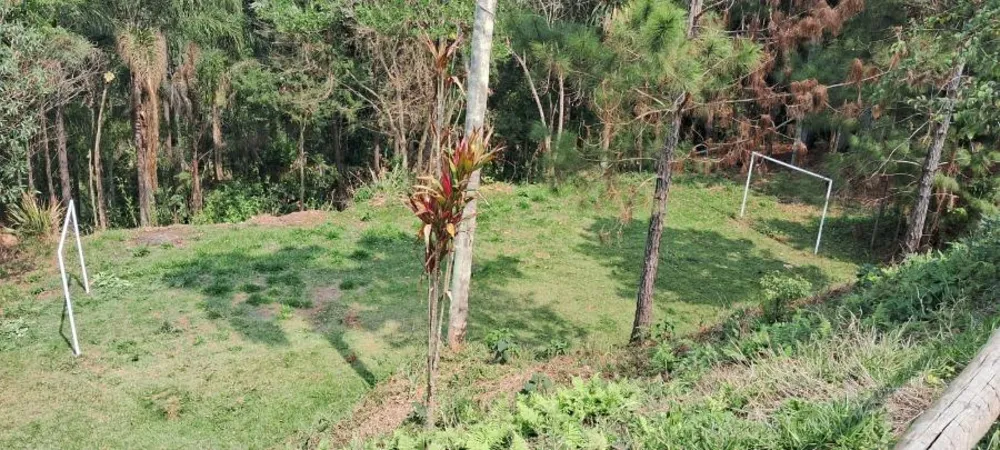 Chácara, 1 quarto, 3100 m² - Foto 15