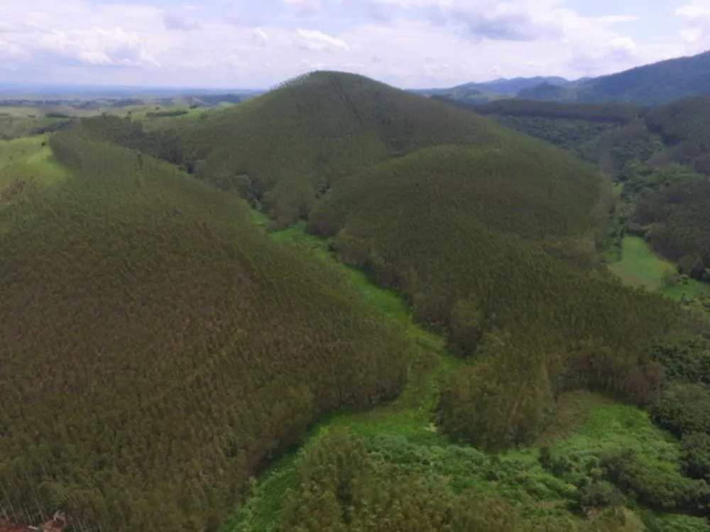 Fazenda, 120 m² - Foto 7