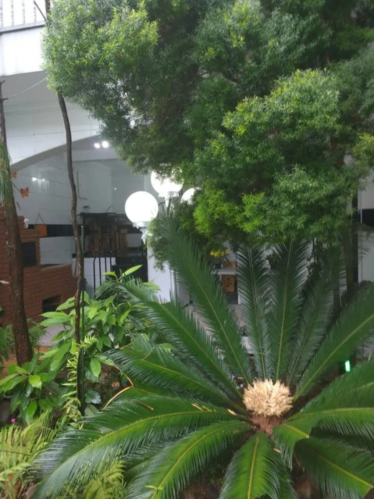 Casa, 4 quartos, 540 m² - Foto 5