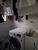 Apartamento, 2 quartos, 44 m² - Foto 2