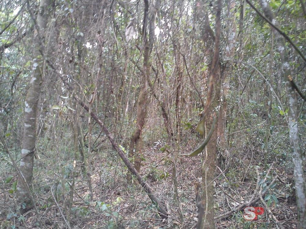 Terreno, 120 m² - Foto 3