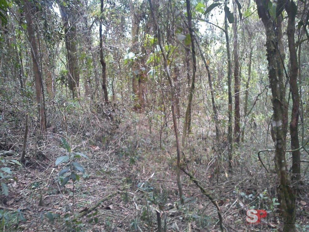 Terreno, 120 m² - Foto 2