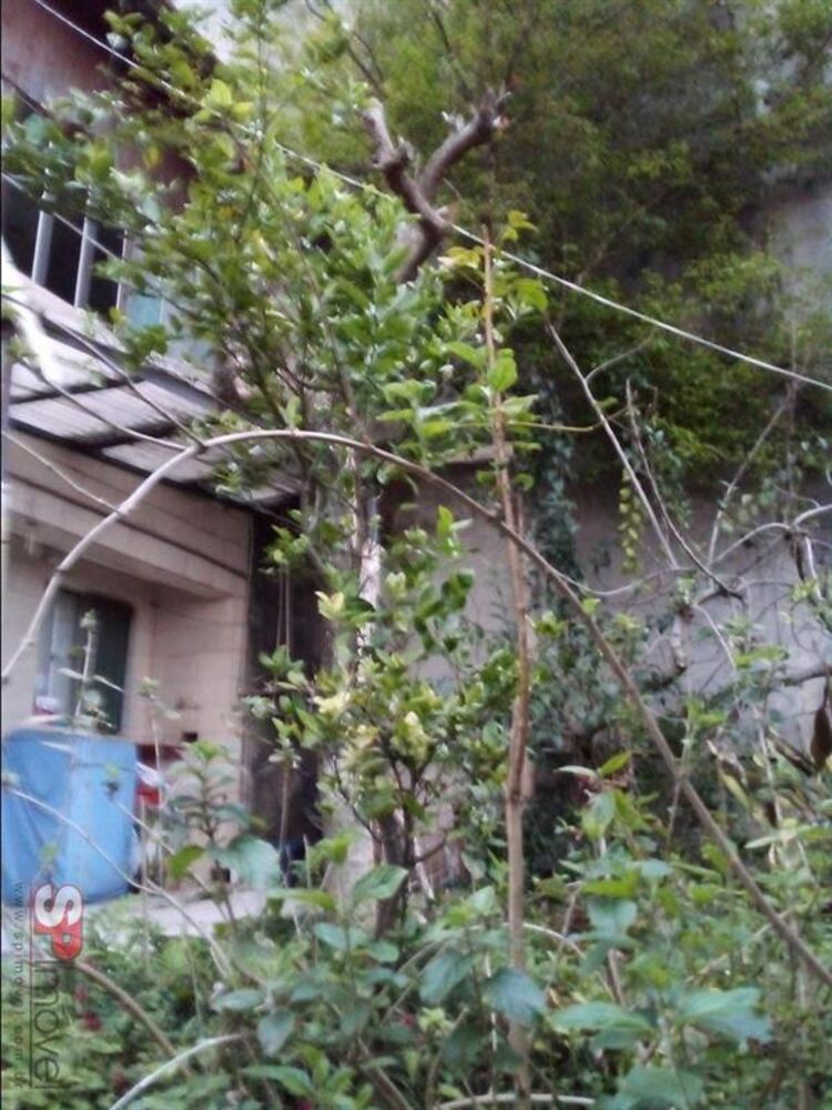 Casa, 3 quartos, 81 m² - Foto 2