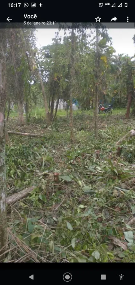 Terreno, 1000 m² - Foto 1