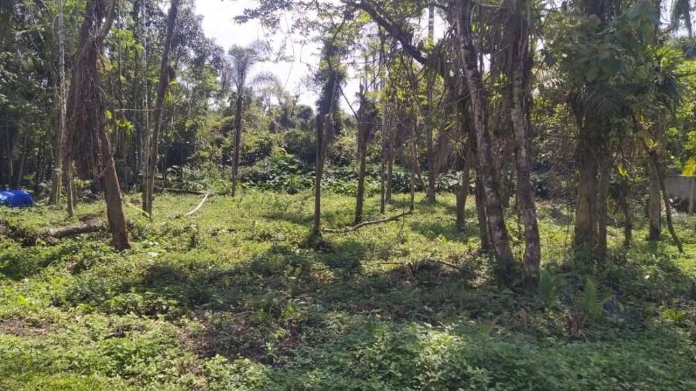 Terreno, 1000 m² - Foto 2